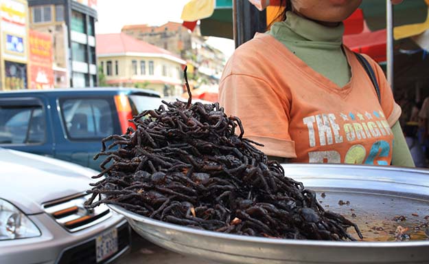 fried tarantula