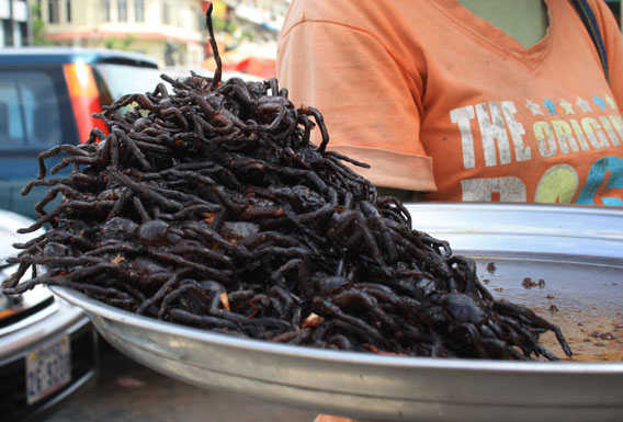 Fried tarantula