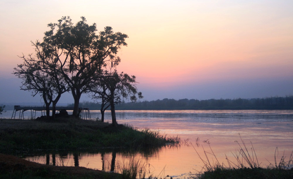 View of the White Nile at Paraa Ferry Crossing - on the way to the early morning game drive.