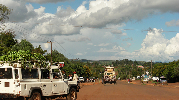 tanzania safari