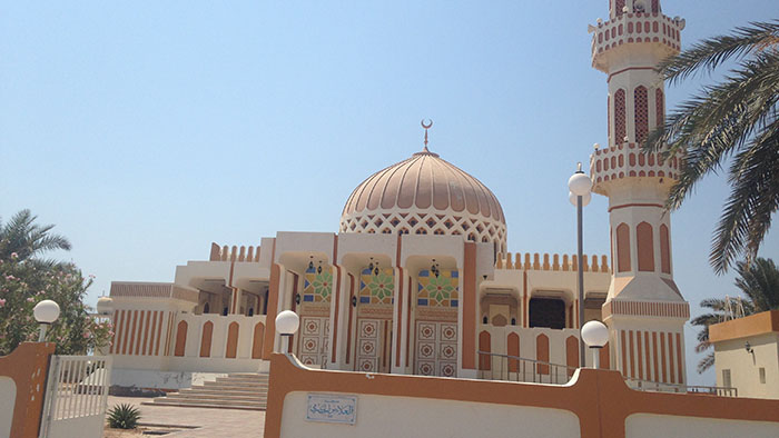 dalma island in abu dhabi