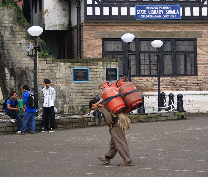 Shimla