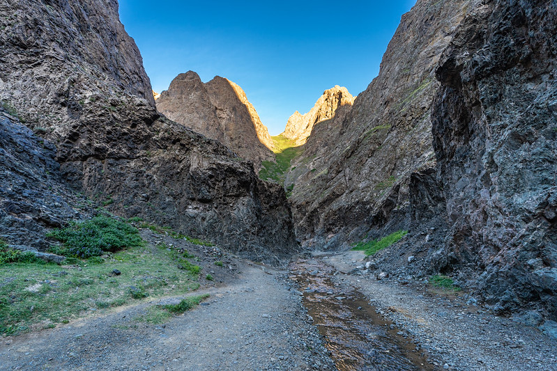 gobi desert