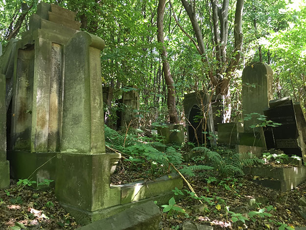 Jewish cemetery warsaw