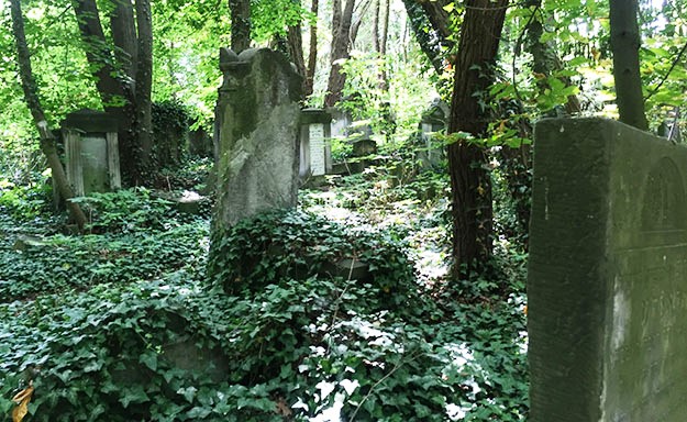 Jewish cemetery warsaw