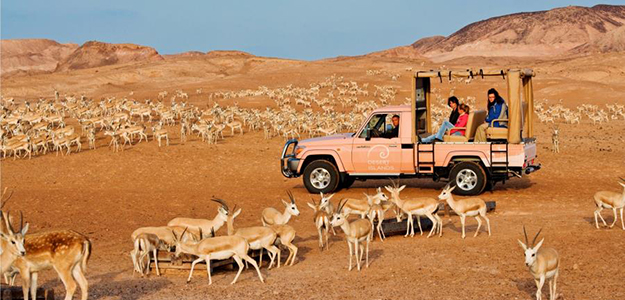 bani yas