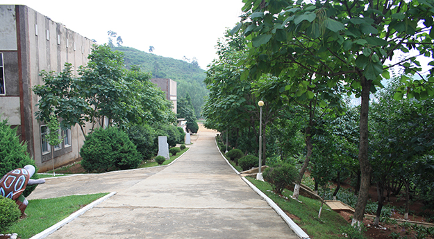 Kim Jong Suk Higher Middle School