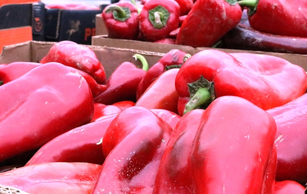 ajvar pepper