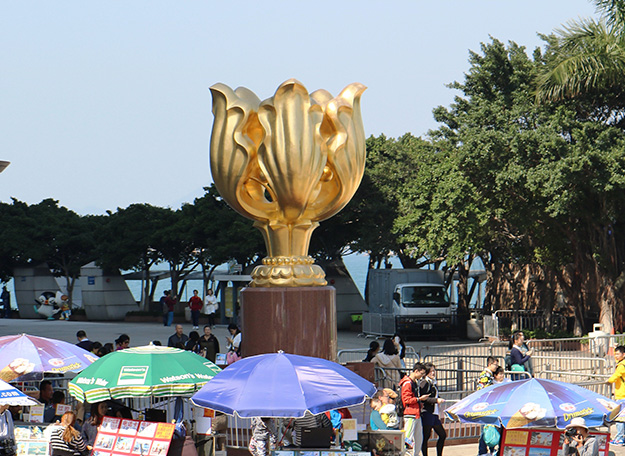 Golden Bauhinia Square