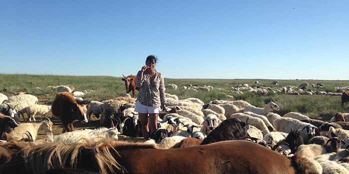 Gobi Desert in Mongolia