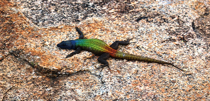 Matobo National Park