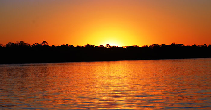 zambezi cruise