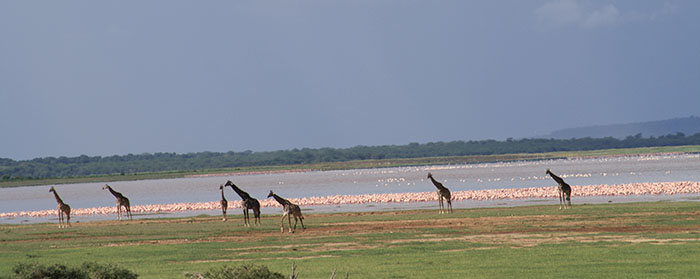 Lake Manyara National Park