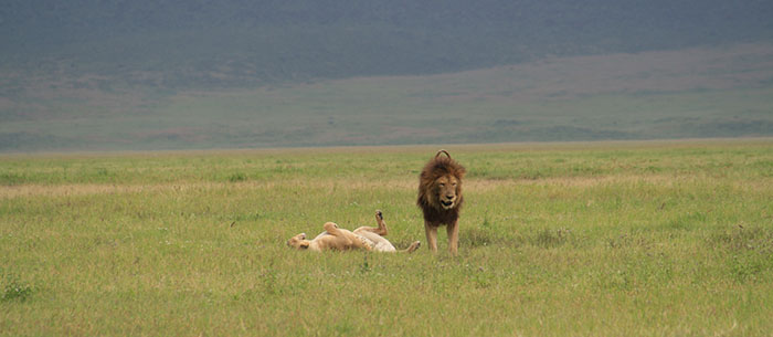 ngorongoro crater