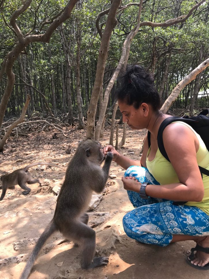 Monkey Island Vietnam