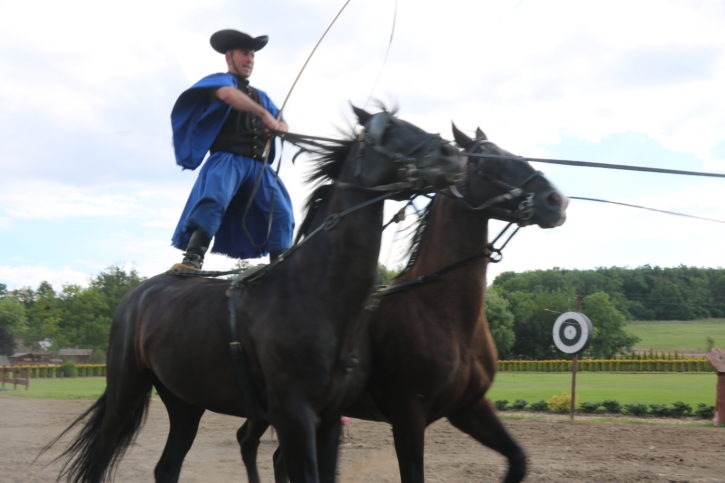 lazars equestrian park