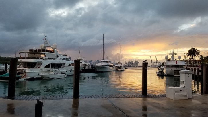 miami harbour