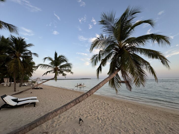 The iconic twin palm trees on the property