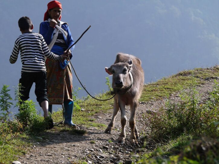 Trekking in Nepal